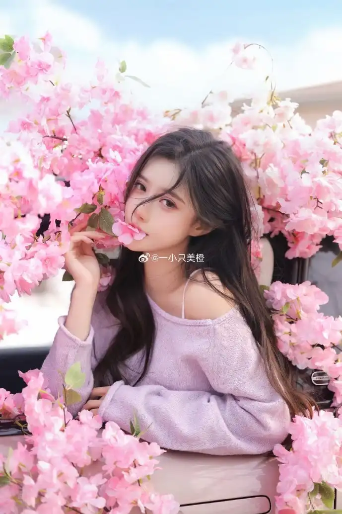 storm下载数据对比图